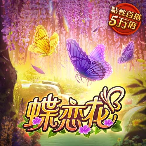 加拿大28