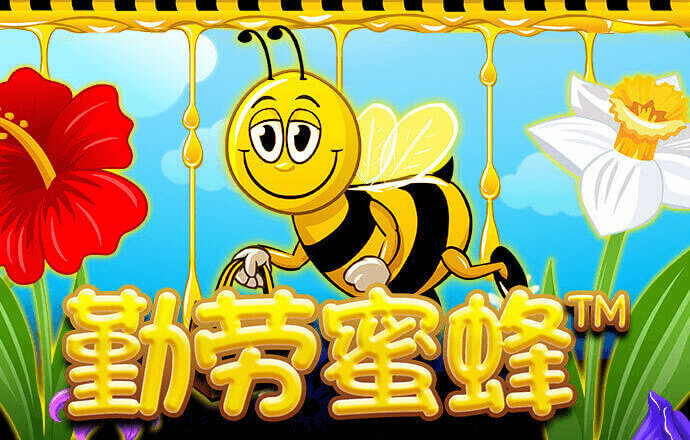 半岛手机版网页版登录